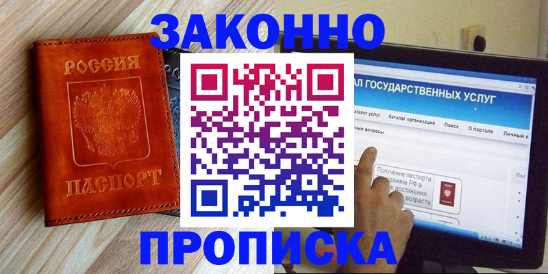 прописка гарантия в Камышине